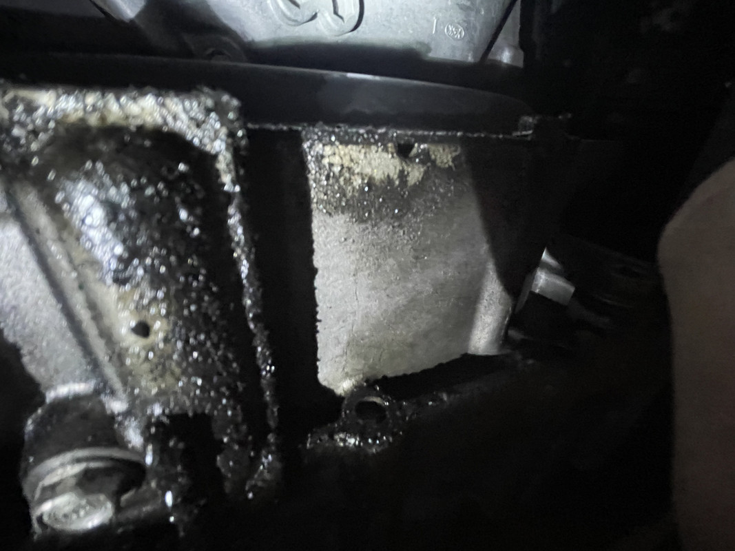 D1581376-0F0B-4C35-9F54-2A92E14BBF75