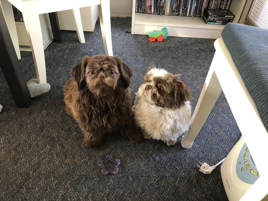 96BC4413-681D-4D7E-AB3B-0D4D2D815EAE