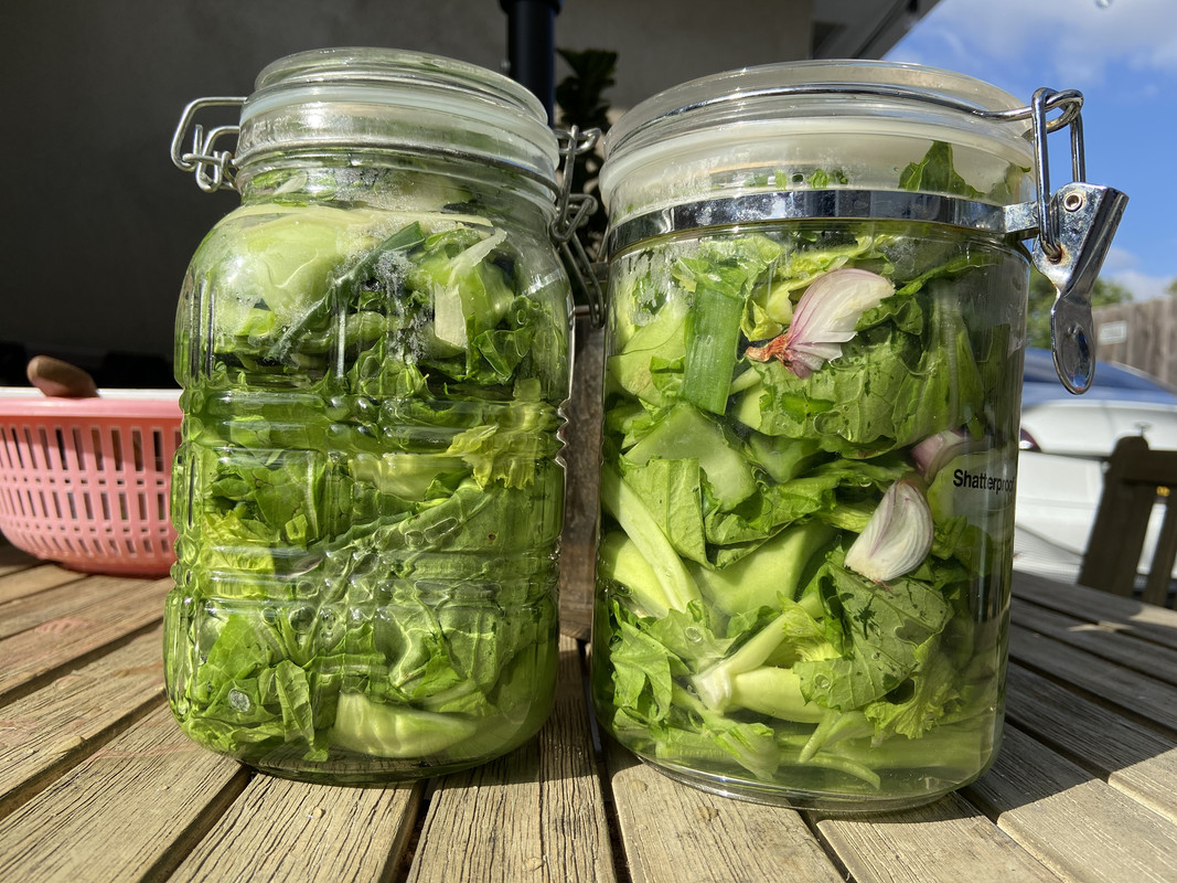 FBE02DB6-1D6D-4FD2-8CC1-D27E85A71382