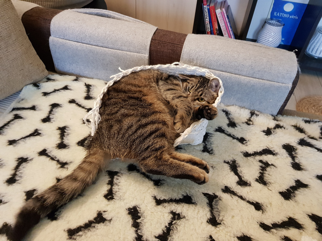20190316-151946.jpg