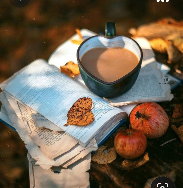 Screenshot_20231008_222322_Pinterest