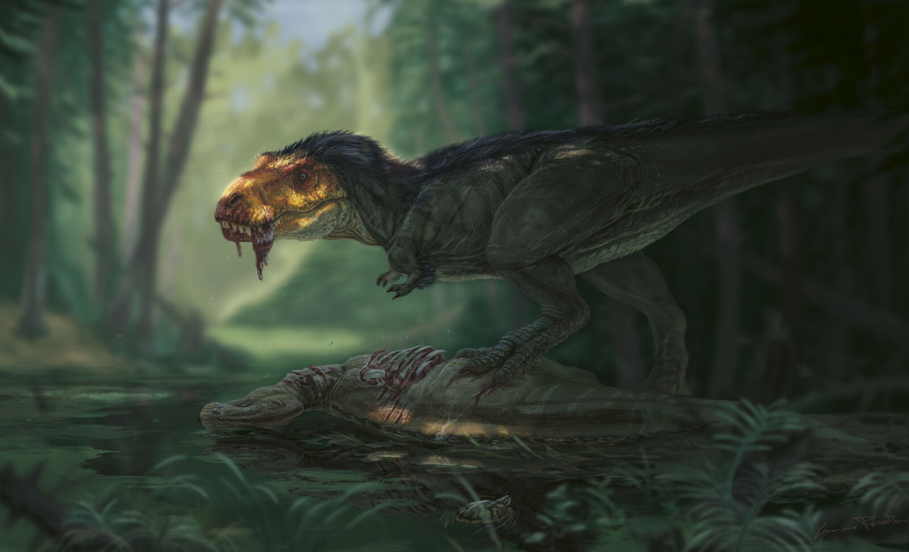 graziano-roccatani-fernisciuto4 (1)