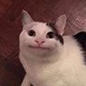 https://i.postimg.cc/KzvvsHqV/sticker-222-thumb.png