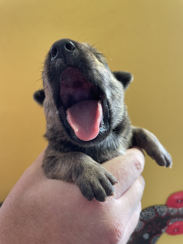 69C60670-0F7D-4EB7-A434-3DD2A203E907