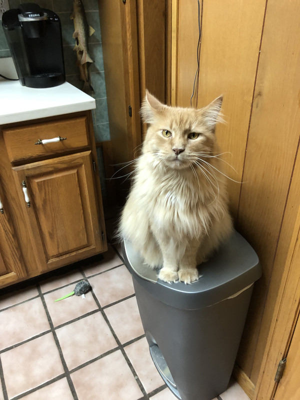 7E607427-344A-4F51-9BCE-7FB22595A43E