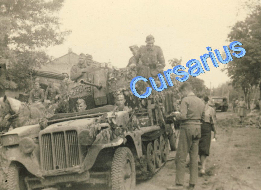 SdKfz Halbkette Flak Geschütz Laub Tarnung 24.Pz