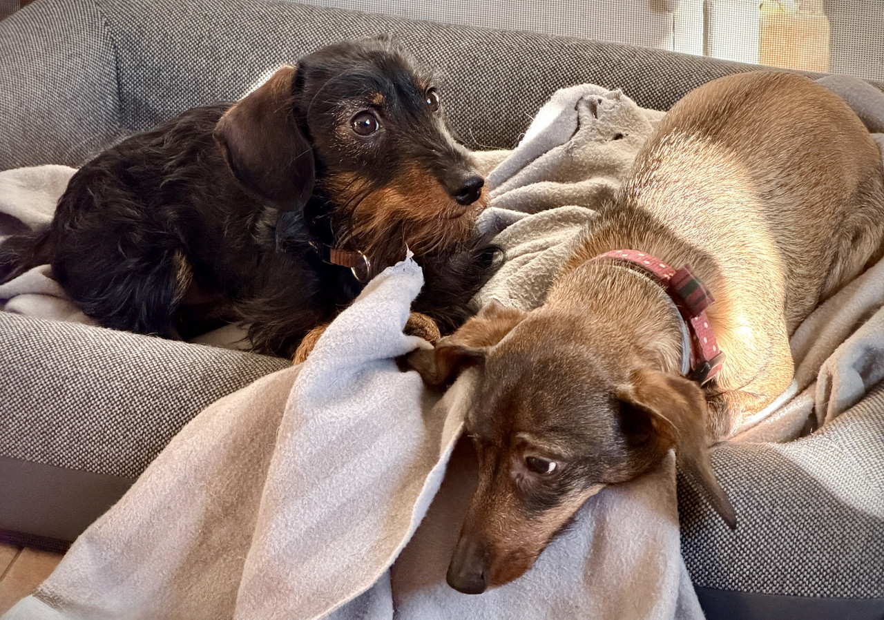 [Image: IMG-0633.jpg]