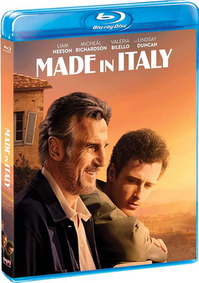 Made in Italy (2020) .mkv iTA-ENG Bluray 720p x264 CYBER