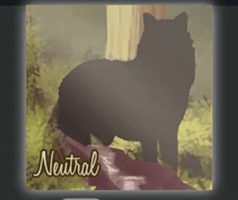 e4f91bfa3ca1bf51b23b396a0402a549.gif