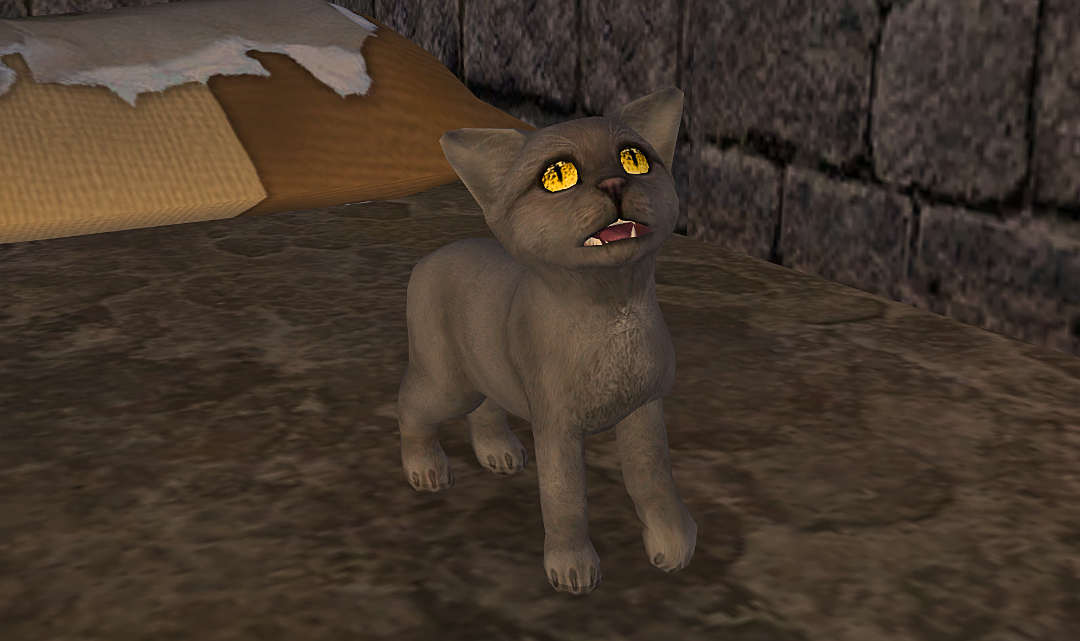 Greenshot-2025-10-25-19-17-55