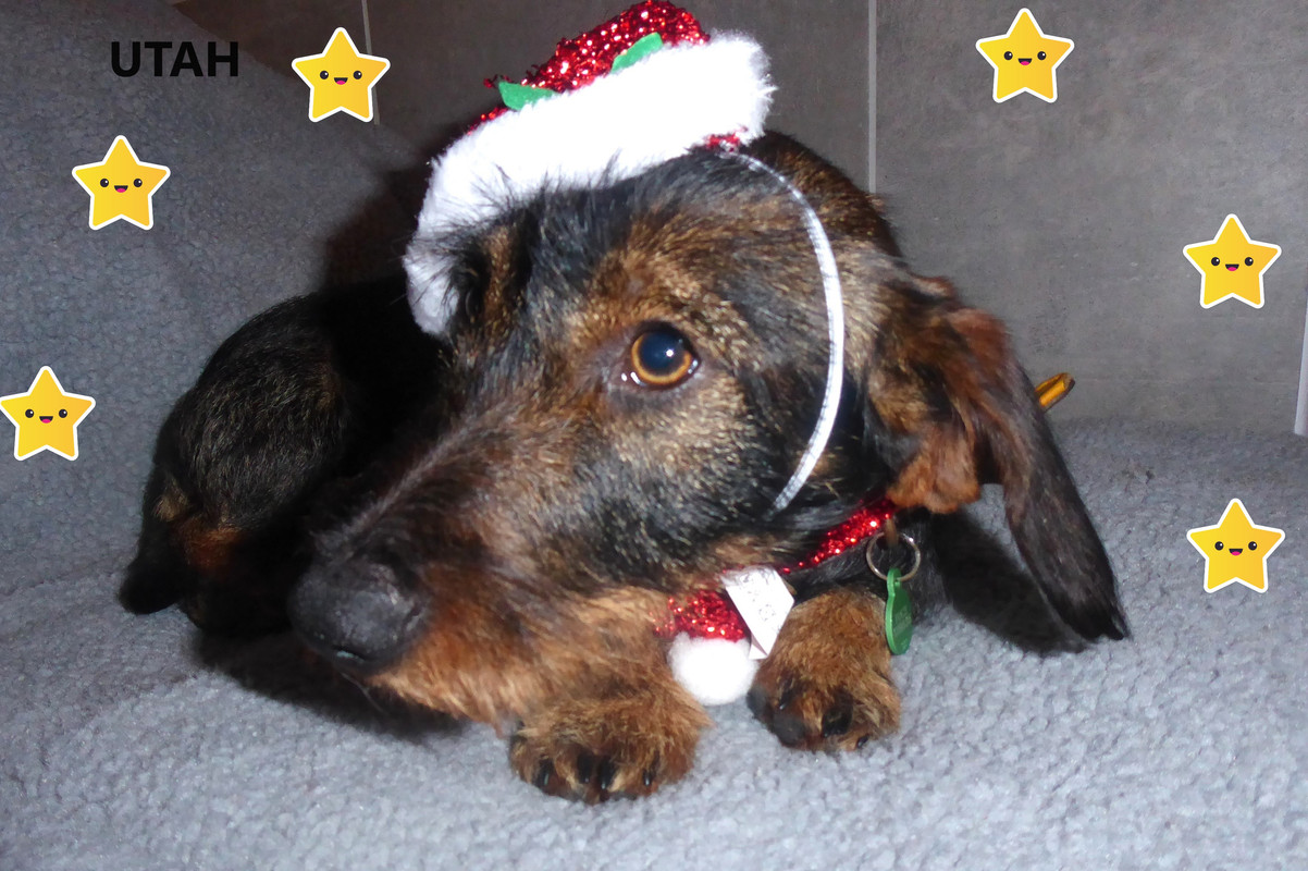 [Image: P1040265-Copie-2.jpg]