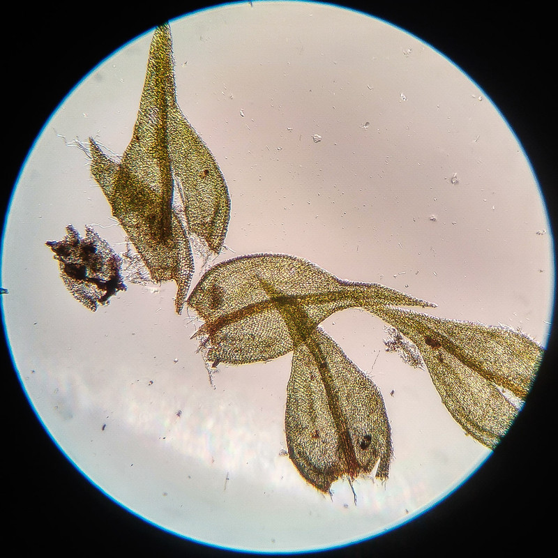 IMG 20250615 221550 HDR