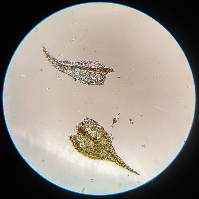 IMG 20250615 221408 HDR