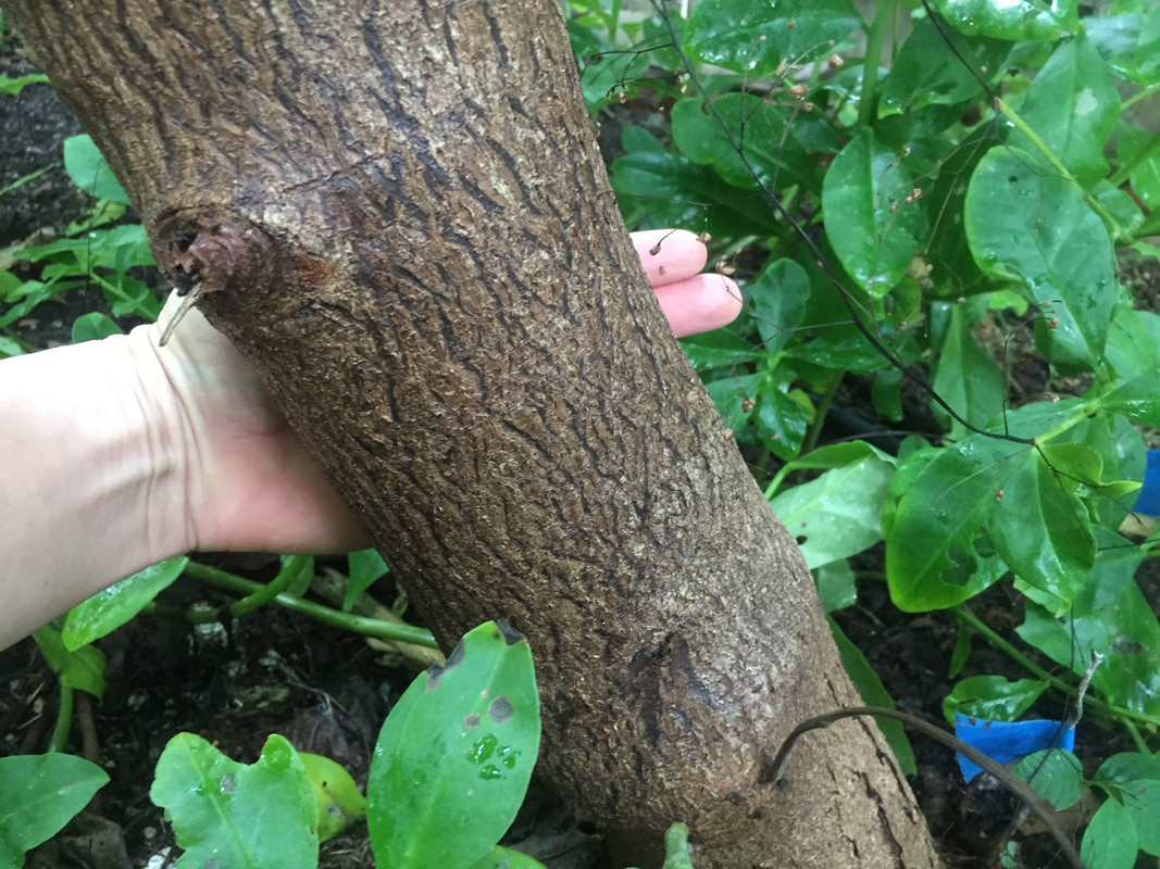 D170CB7B-C3BD-4046-91D9-8E7A71A9A3FC