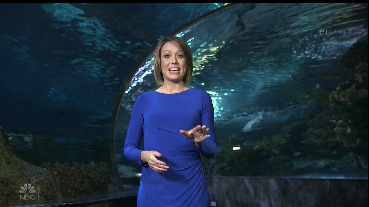 11.07 - 15.00.00 - Earth Odyssey With Dylan Dreyer. The world's smart....ts_snapshot_00.31.48.257