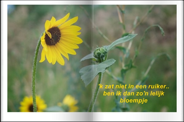 welkom opblog Bunic Jos