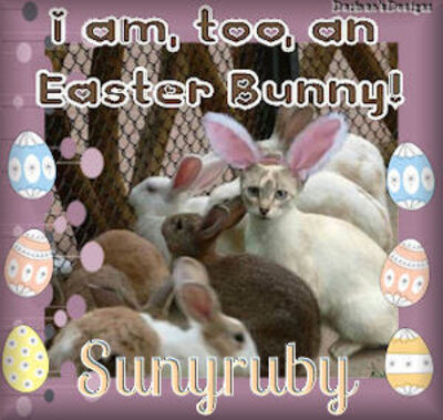 Sunyruby-Easter-Bunny-IAm-Too-An-Cat