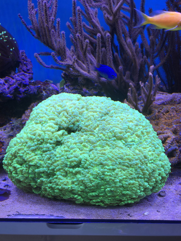 29ED030A-844D-408B-B5BF-7D75504174E8