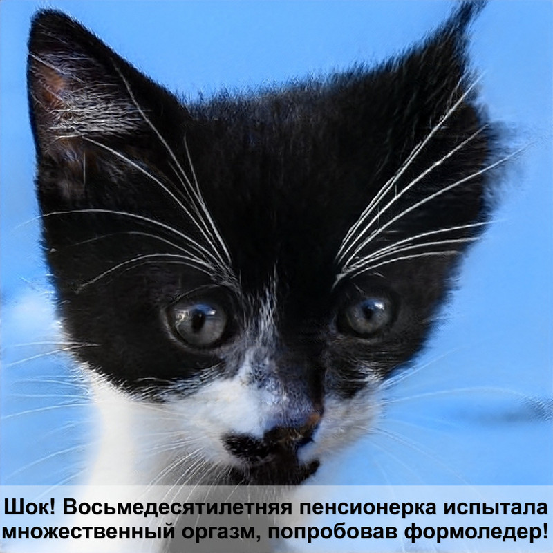 как сделать лежанку для кошки