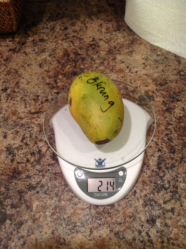 ccbed926948f2e257f79c8d22fee2c33