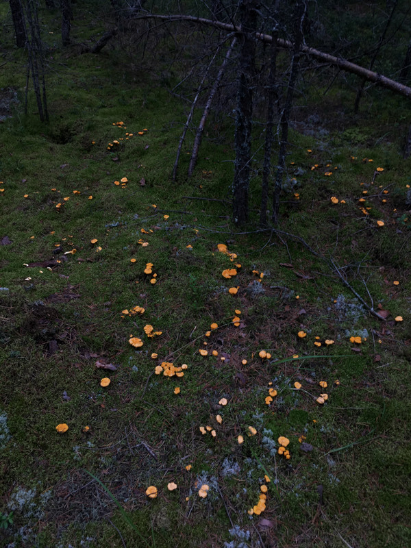 IMG_6174
