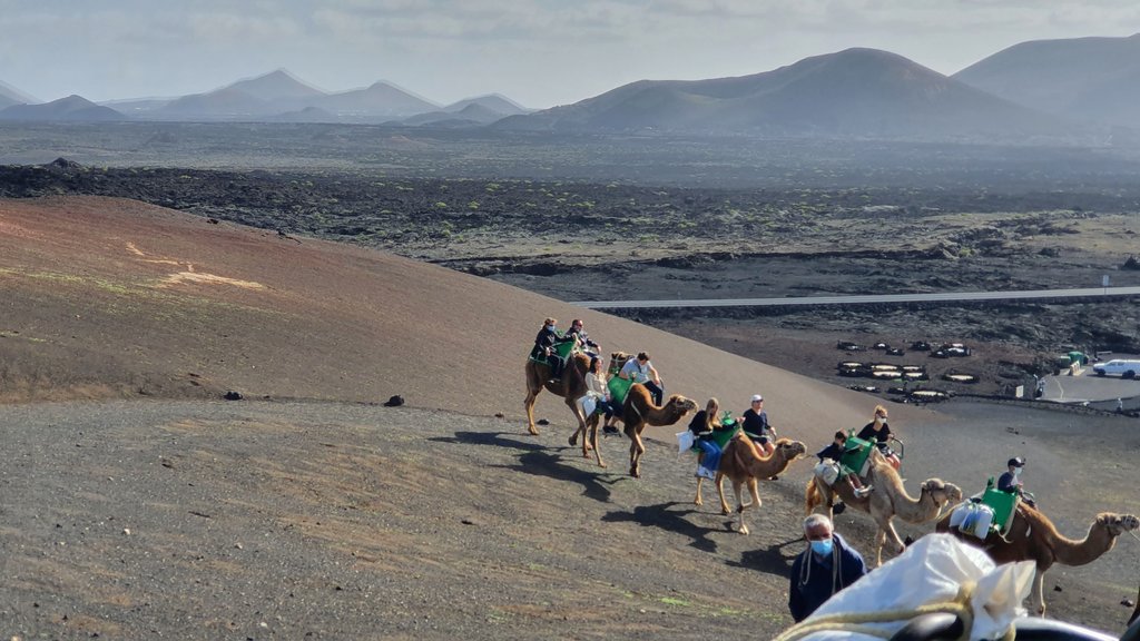 TIMANFAYA, ECHADERO DE CAMELLOS Y PLAYAS DEL PAPAGAYO: la galaxia de las playas - Lanzarote: pisar la Luna sin dejar La Tierra (8)