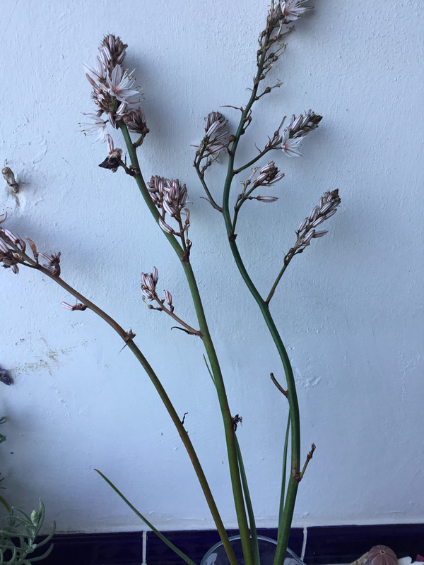 3F50329A-4C82-4C7D-8485-27E7C1D1AAD2