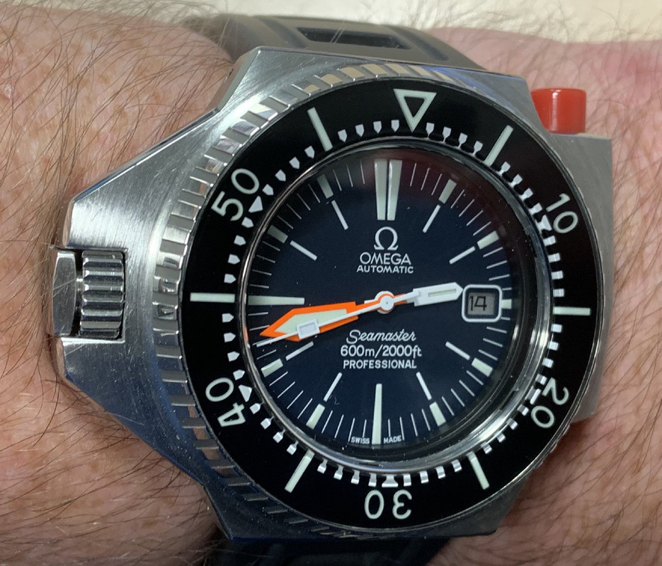 031BB6E6-2F0E-4272-A083-F3123BF239C2