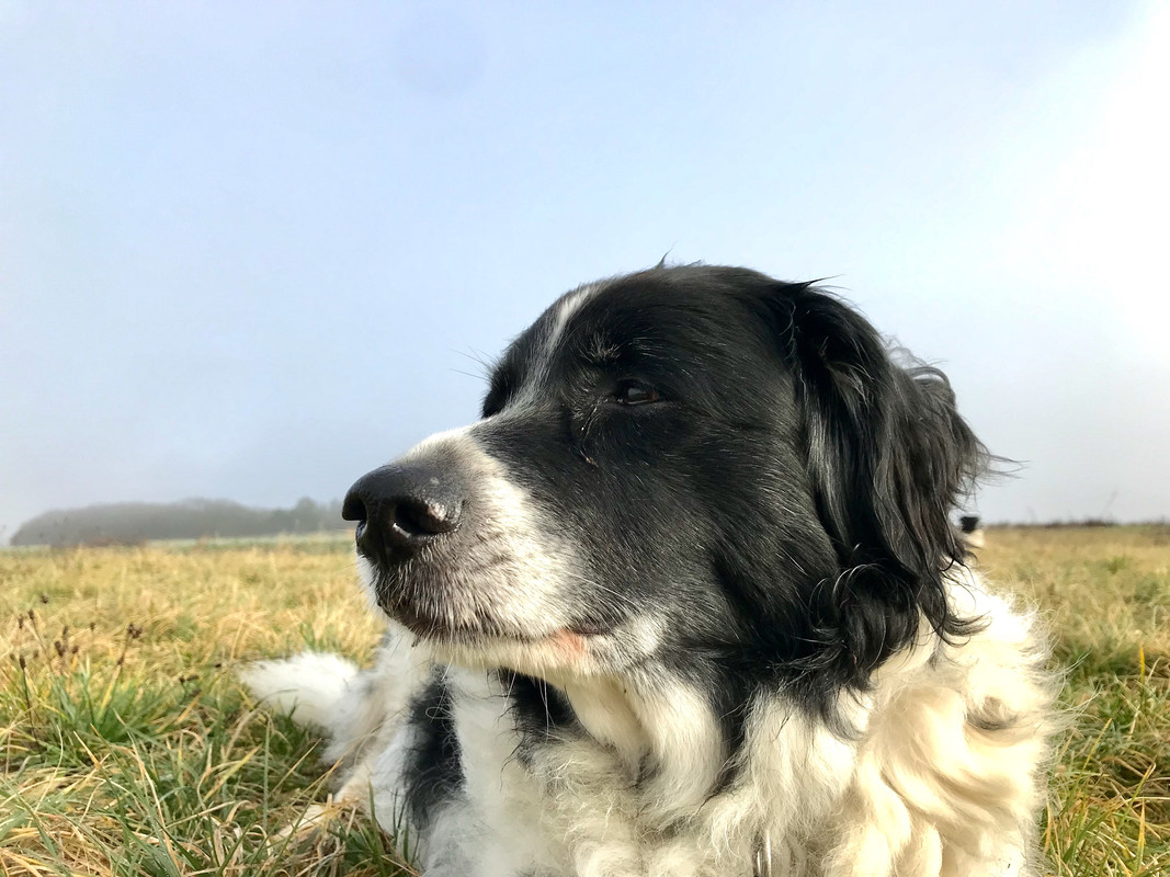 25100BEA-2F44-4999-A461-FBCDC29C6779