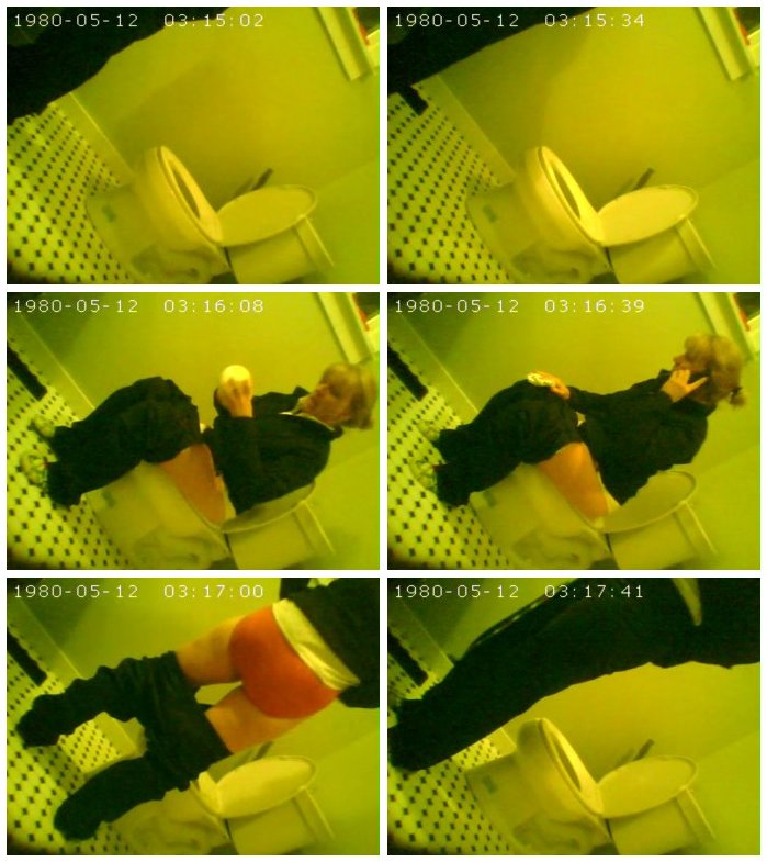 [Image: toilet11-2.jpg]