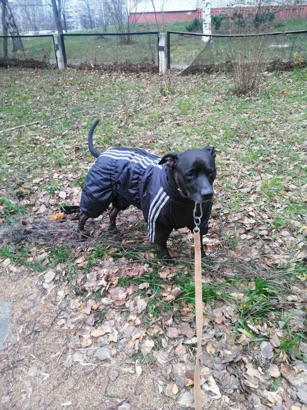 D5C928DA-8022-46D3-97E0-4228635A6734