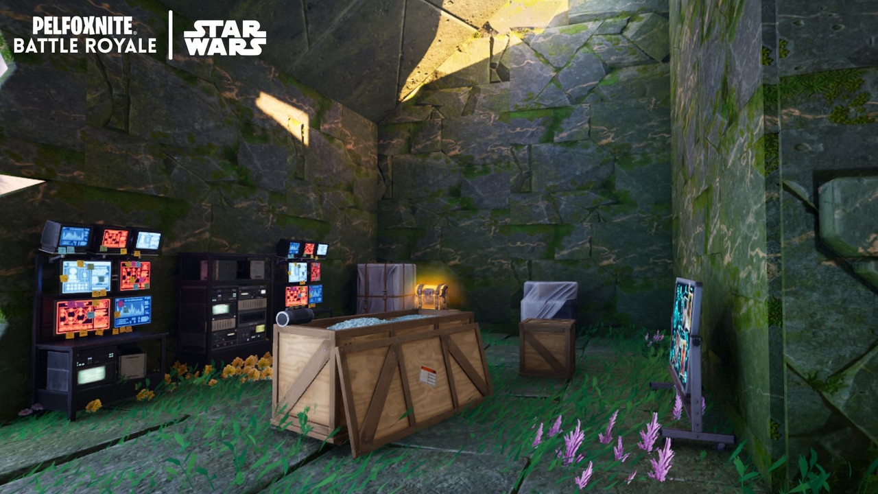 Image large sur desktop