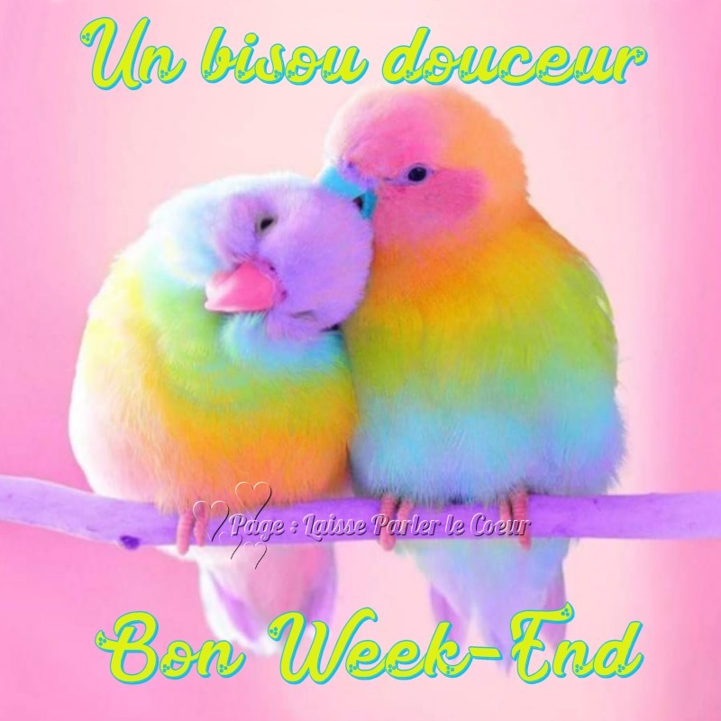 https://i.postimg.cc/KzyMCYYW/bon-week-end-164bisous.jpg