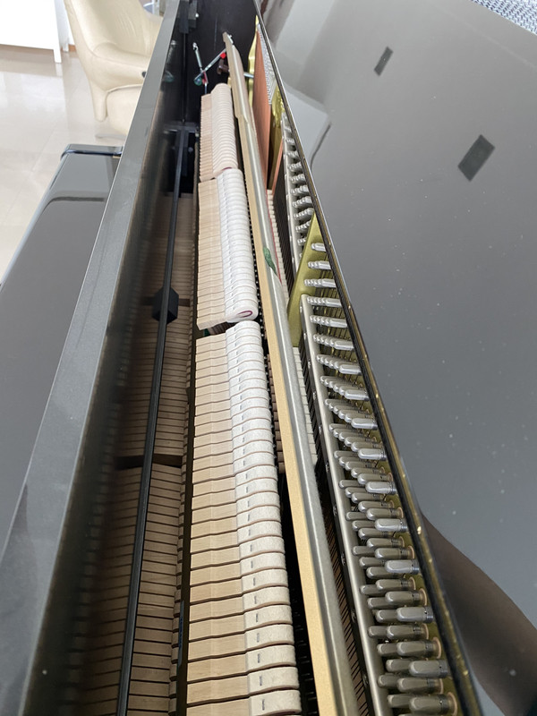 082CBE9B-B21E-4881-B20B-78C4E71FC9DD