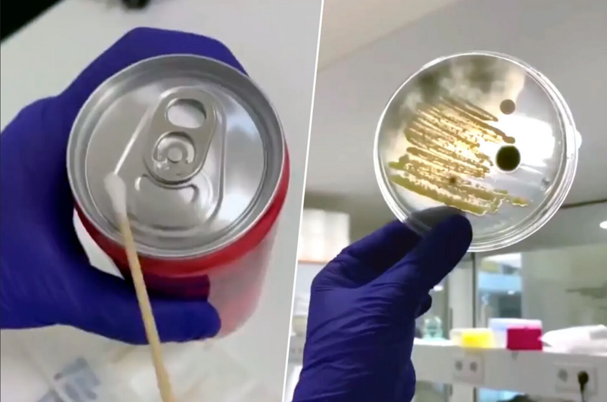 Usuario de TikTok muestra qué tan sucias están las latas de refresco (video)