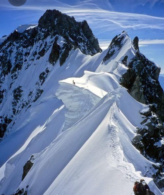 Screenshot_20230605_093609_Pinterest