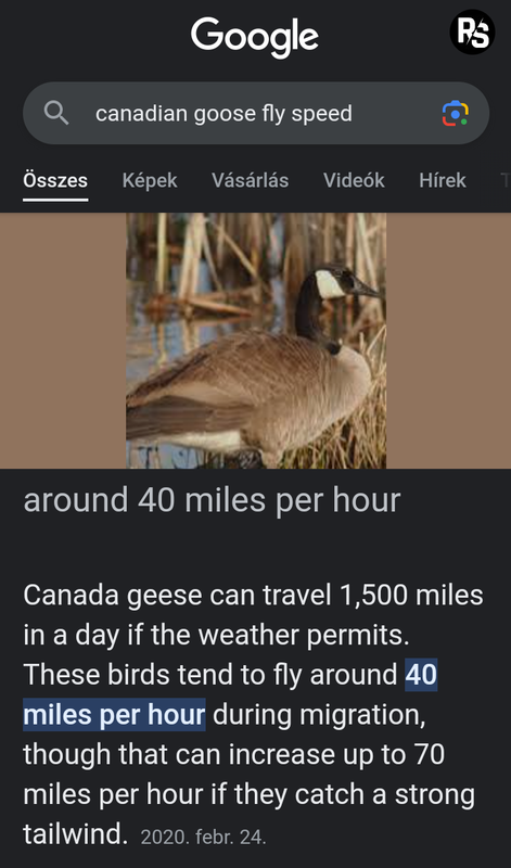 Polish-20230603-180433589.png