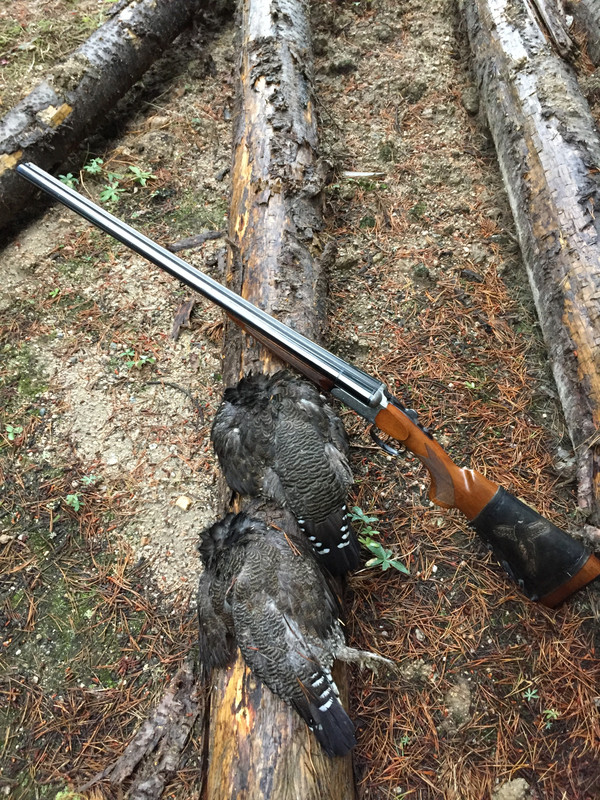 002D7695-3199-450C-BCE4-8407AF890C84