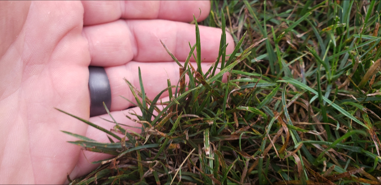 Screenshot_20210813-142838_Gmail