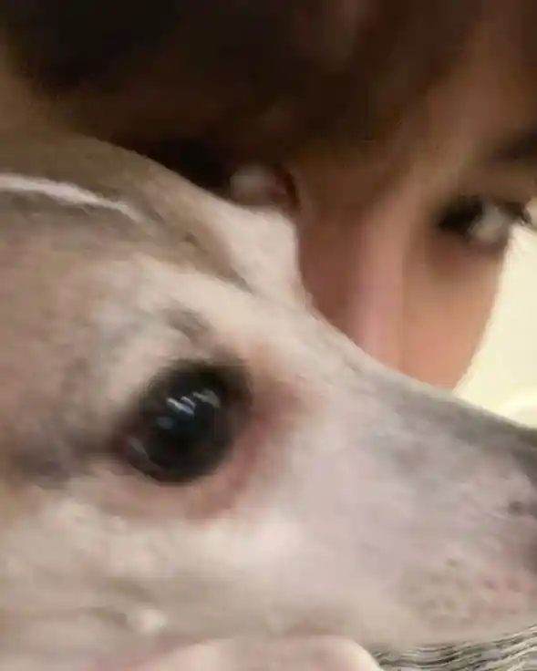 451517aad01603e4d499994da718d306_copy_589x736