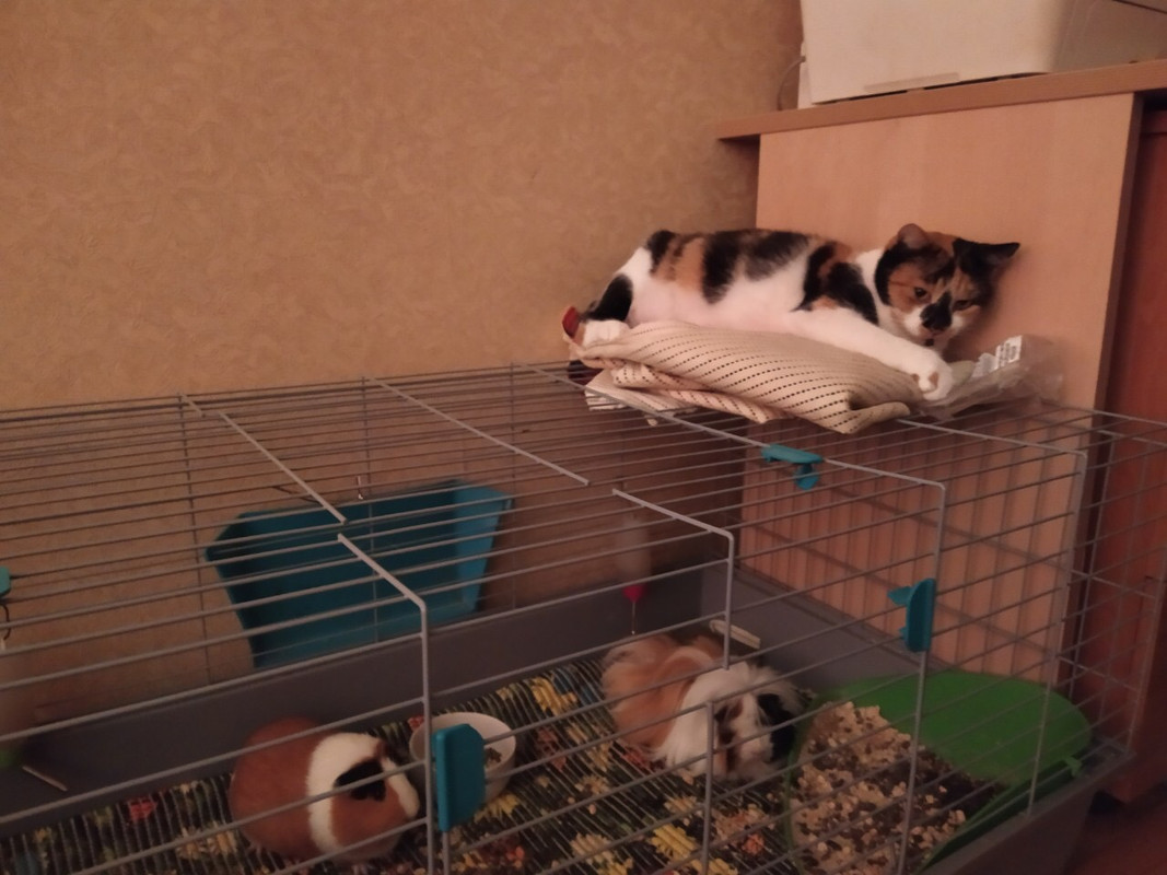 7B9131CB-5E35-4272-B23A-BF1DBC965F89