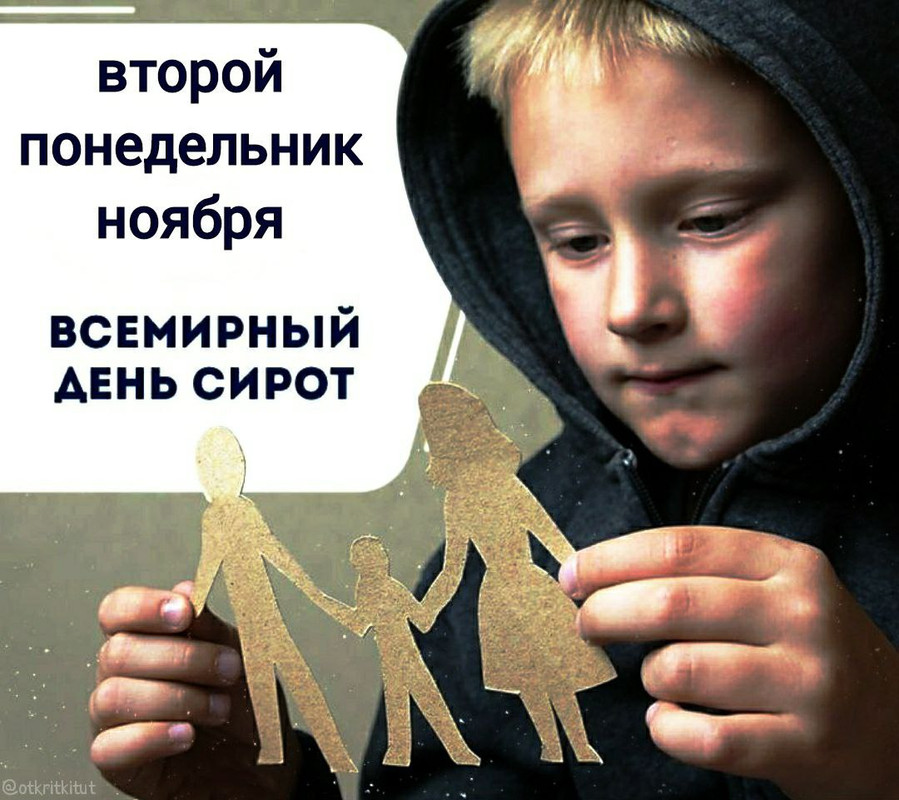 IMG_20231113_124606_497