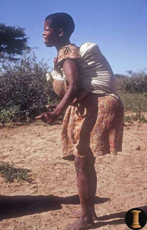 изображение_viber_2025-06-26_19-33-54-861