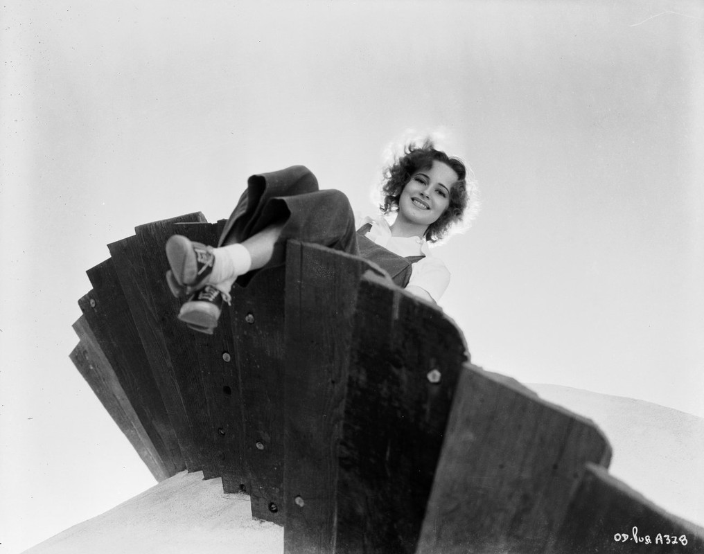 olivia_de_havilland_c64