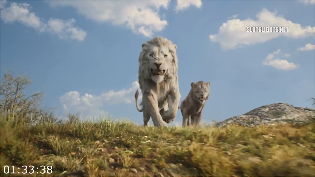 [Image: 2ade39sxdbx0.png]