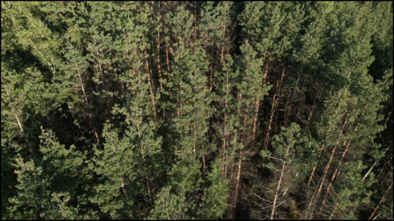 [Image: 4y9vc7iaw6og.png]