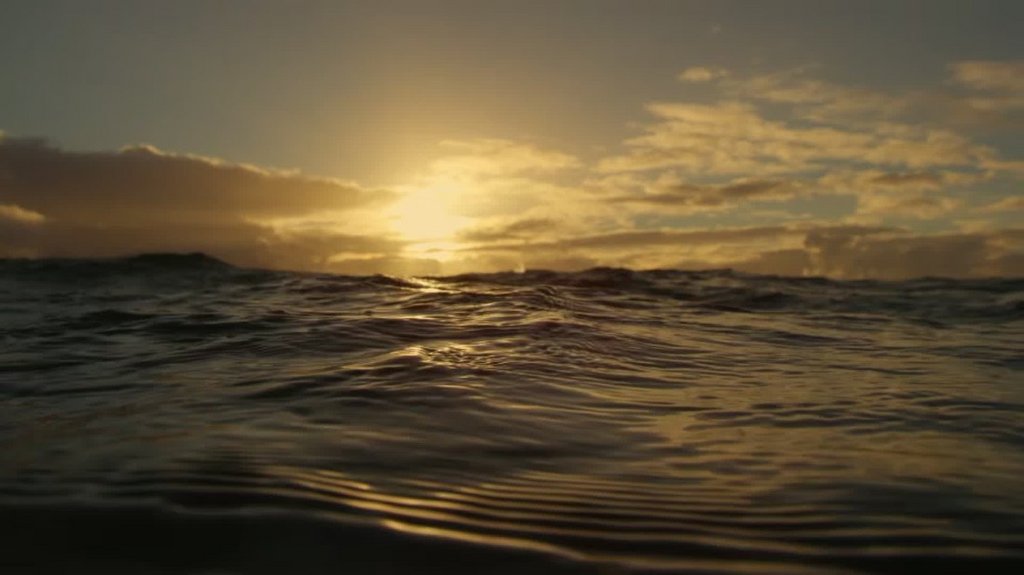 [Image: c3t3djs8kkg2.jpg]