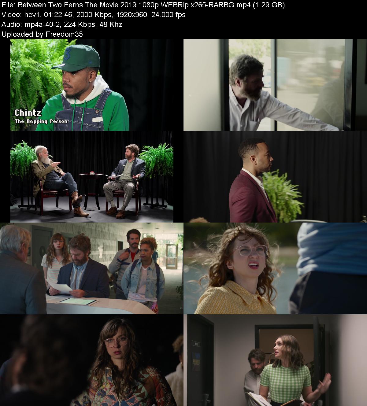 Between-Two-Ferns-The-Movie-2019-1080p-W