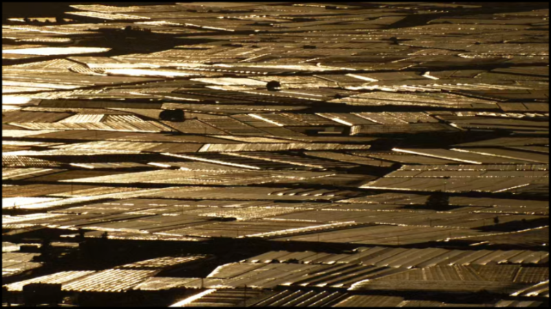 [Image: ctnox44u94oa.png]