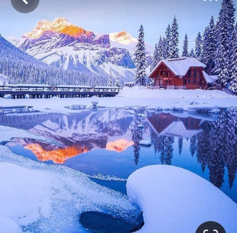 Screenshot_20230429_011238_Pinterest